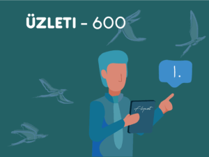 Flynet üzleti 600