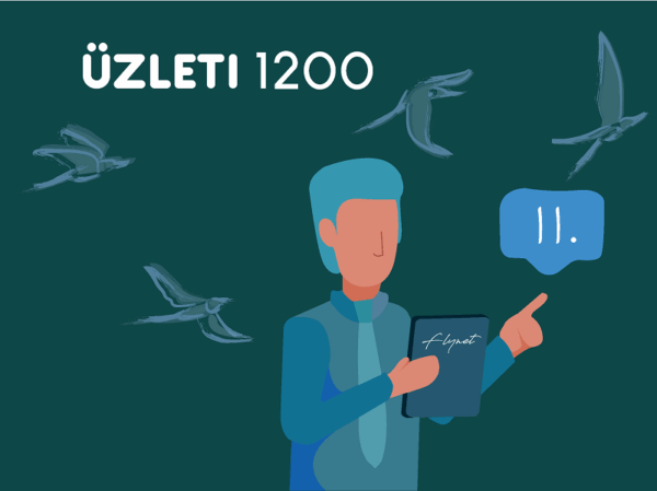 FLYNET Üzleti 1200