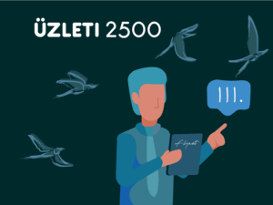 FLYNET üzleti 2500