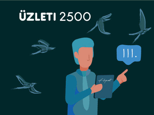 FLYNET üzleti 2500