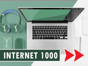 Flynet 1000Mbit