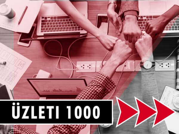 Flynet Üzleti 1000Mbit