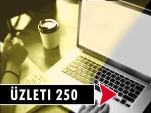 Flynet Üzleti 250Mbit