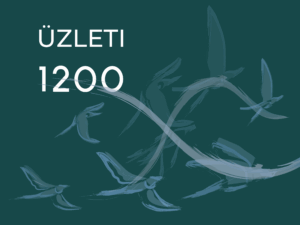 FLYNET Üzleti 1200