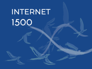 FLYNET 1500Mega