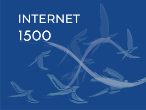 FLYNET 1500Mega