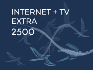 FLYNET Extra TV+2500Mega