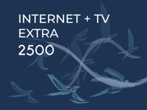 FLYNET Extra TV+2500Mega