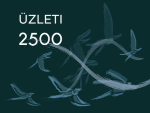 FLYNET üzleti 2500