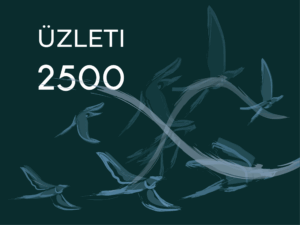 FLYNET üzleti 2500