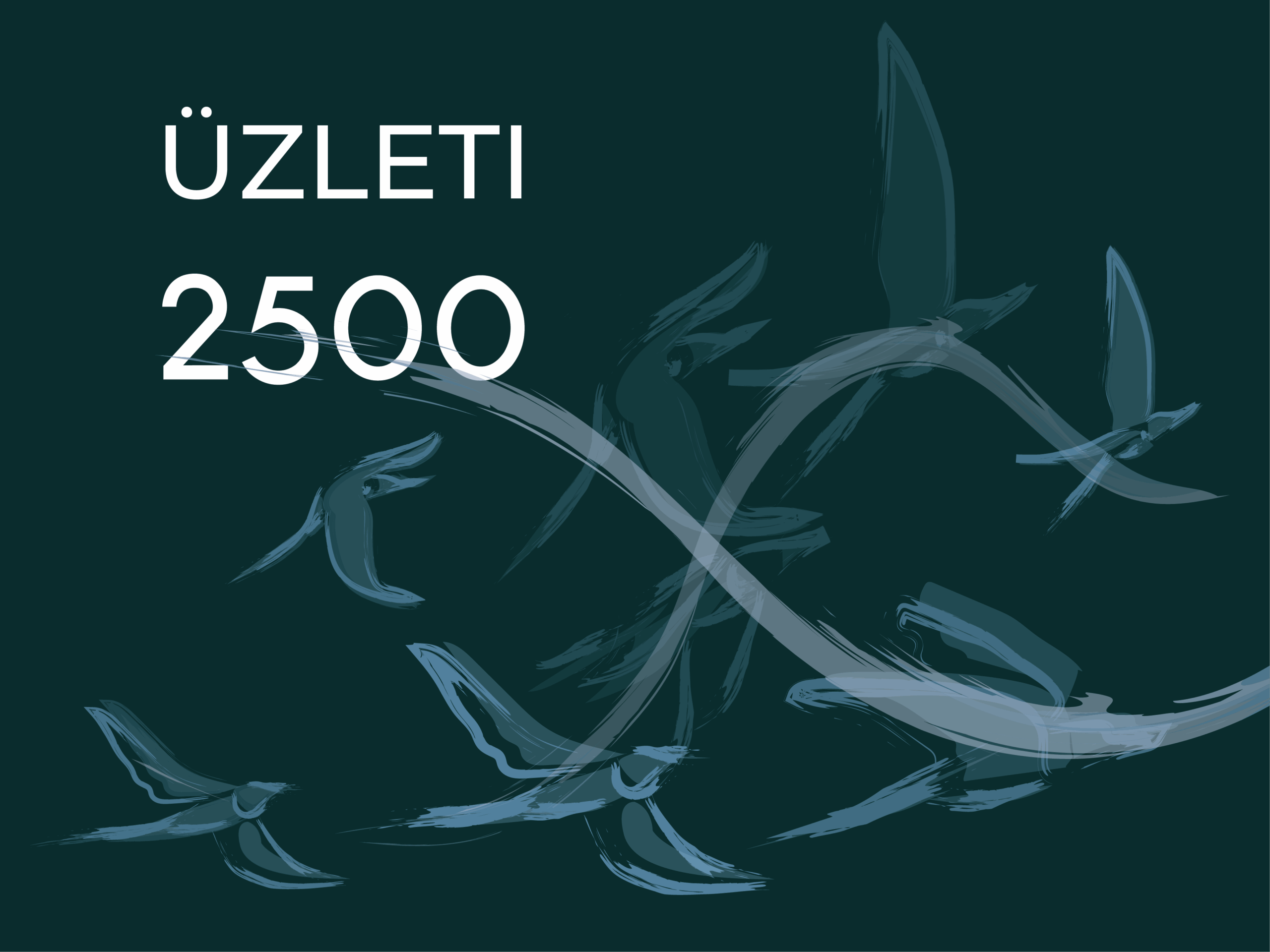 FLYNET üzleti 2500