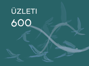 Flynet üzleti 600