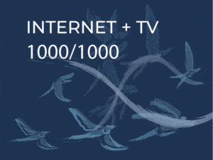 1000Mbit Internet és a legkedveltebb TV csatornák most 50% születésnapi kedvezménnyel