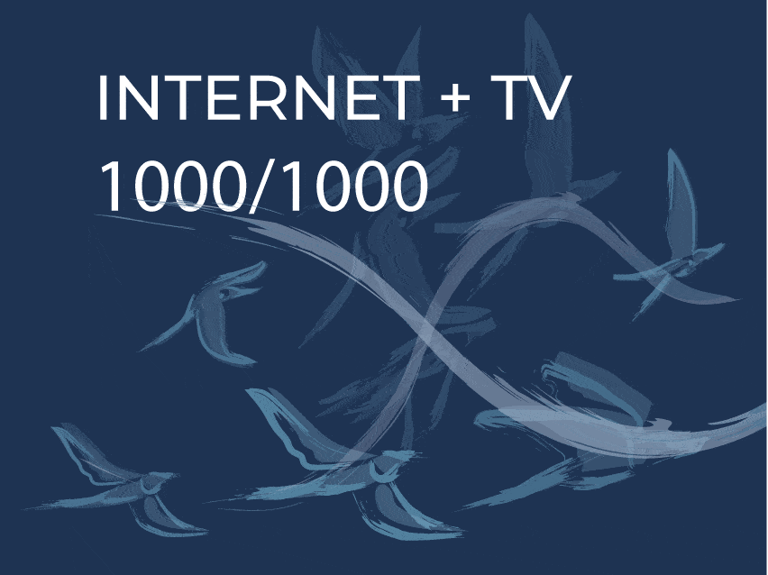 1000Mbit Internet és a legkedveltebb TV csatornák most 50% születésnapi kedvezménnyel
